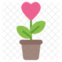 사랑 식물 사랑 식물 아이콘
