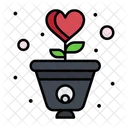 Love Plant  Icon