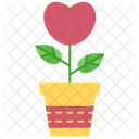 Love plant  Icon