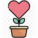 Love Pot  Icon