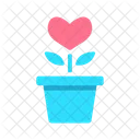 Flower Pot Gift Icon