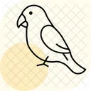 Lovebird Bird Pet Icon