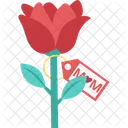 Loving Flower Rose Beautiful Flower Icon