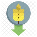 Low Carbohydrate Healthy Food Diet Icône