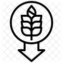 Low Carbohydrate Healthy Food Diet Icône