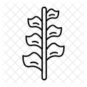  Symbol