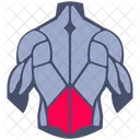 Lower back muscle  Icon