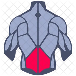 Lower back muscle  Icon