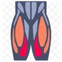 Lower leg muscle  Icon