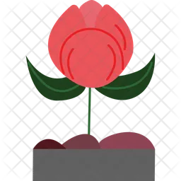 Lrish Flower  Icon