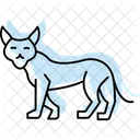 Luchs Katze Katzenartige Symbol