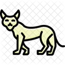 Luchs Katze Katzenartige Symbol