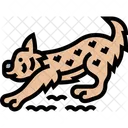 Luchs Rotluchs Raubtier Symbol