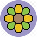 Luck Flower Clover Icon