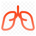 Lugs Health Organ Icon