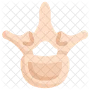 Lumbar Vertebrae  Icon