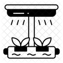  Icône