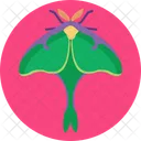 Luna Moth  Icon