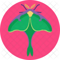 Luna Moth  Icon