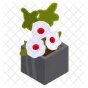 Luna White Hibiscus  Icon