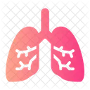 Lung Lungs Breath Icon