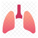 Lung Heart Heartbeat Icon