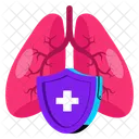 Health Human Anatomy Icon