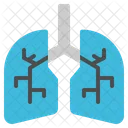 Lung Organ Anatomy Icon