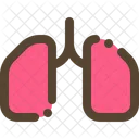 Lung Health Medical Icon