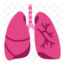 Lung  Icon