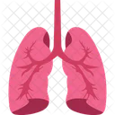 Lung Medical Organ Icon