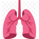 Lung  Icon