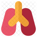 Lung Anatomy Respiratory Icon