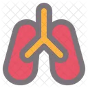 Lung Anatomy Respiratory Icon