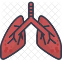 Lung Medical Organ Icon