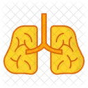 Lung Organ Covid 19 Icon