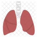 Lung Respiratory Asthma Icon