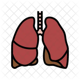 Lung  Icon