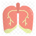Lung Respiratory Pulmonary Icon