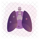 Lung Lungs Breath Icon