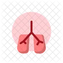 Lung Organ Hospital Icon
