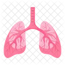 Lung Organ Body Parts Icon
