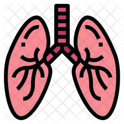 Lung  Icon