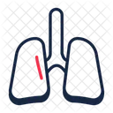 Lung Icon