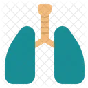 Lung Respiration Breath Icon