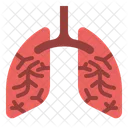 Lung Organ Medical Icon