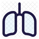 Lung Pulmonary Anatomy Icon