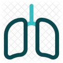 Lung Pulmonary Anatomy Icon