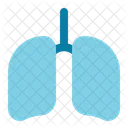 Lung Pulmonary Anatomy Icon