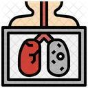 Lung Infections  Icon